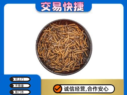 德阳礼品回收虫草.jpg